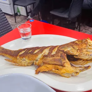 속초맛집 사진