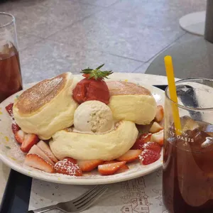 데일리오아시스 사진