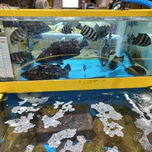 명신수산 리뷰 사진