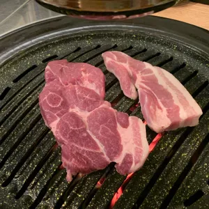 고기선수 사진