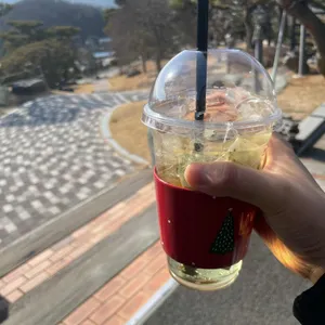 카페그리너리 사진