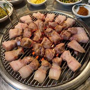 연탄과친한돼지 사진