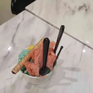 지파시 사진