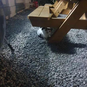 구선장횟집 리뷰 사진