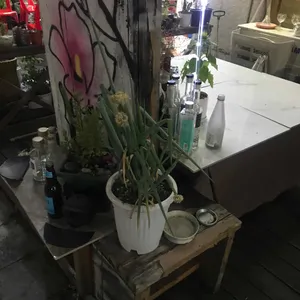 화화담 리뷰 사진