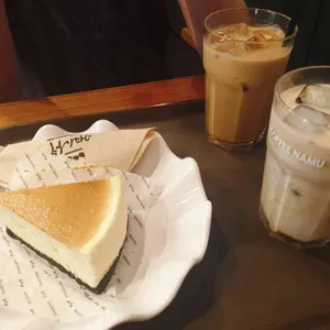 커피나무 사진