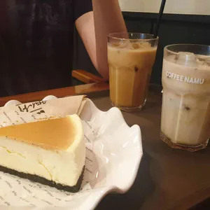 커피나무 사진