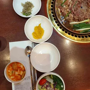 사리원 사진
