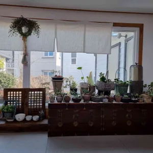 모다기 리뷰 사진