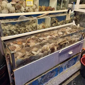 섬과섬사이 리뷰 사진