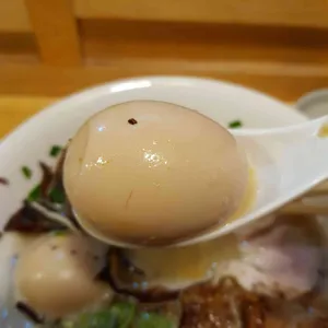 초라멘 리뷰 사진