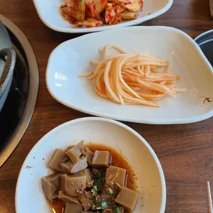 가을숲다람쥐 사진