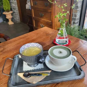 MOT 리뷰 사진