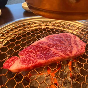 싱싱목장 사진