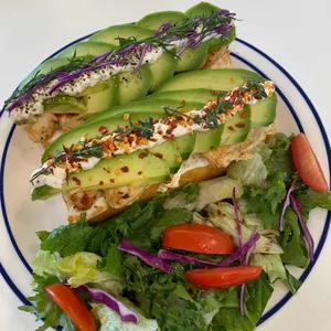 레인템포 리뷰 사진