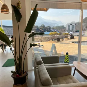 다온 리뷰 사진