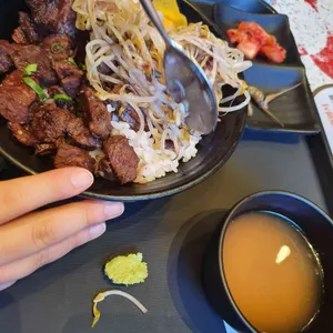 홍대개미 사진