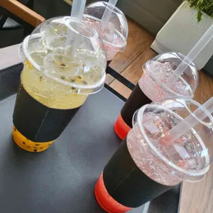 통영동백커피식물원 사진