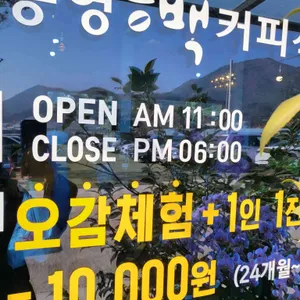통영동백커피식물원 리뷰 사진