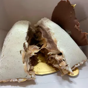 기욤 사진