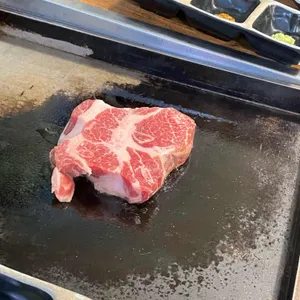 촌돼지 사진