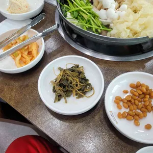 산들애 사진
