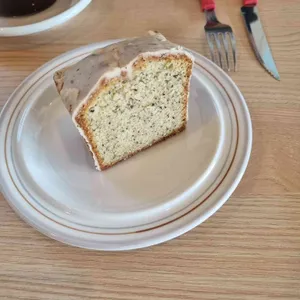 피카 사진
