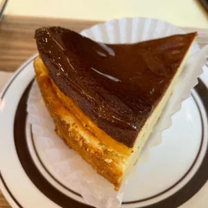 콜렉티보 사진