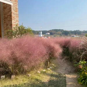 카페 림 리뷰 사진