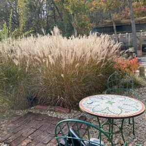 카페 림 리뷰 사진