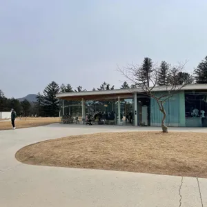 가평양떼목장 카페 리뷰 사진