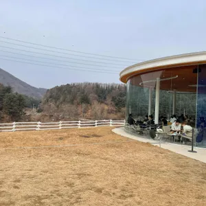 가평양떼목장 카페 리뷰 사진