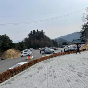 가평양떼목장 카페 리뷰 사진