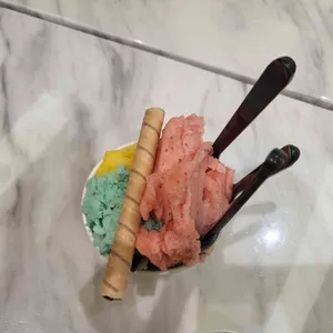 지파시 사진