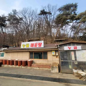 능골매운탕 리뷰 사진