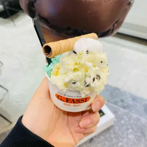 지파시 사진
