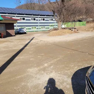 평양막국수 리뷰 사진