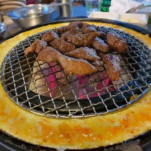 신 마포갈매기 사진
