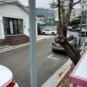 미스터고트 사진