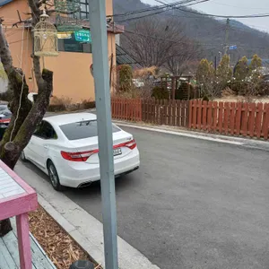 미스터고트 사진