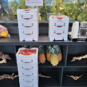통영동백커피식물원 리뷰 사진
