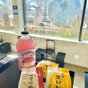 진해보타닉뮤지엄 사진