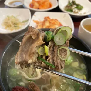 태백산맥 사진