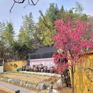 봉화 나물밥 리뷰 사진