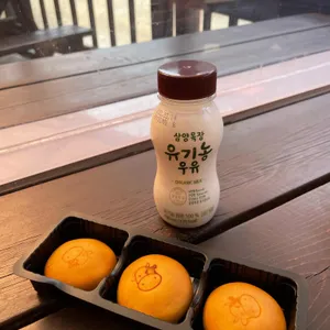대관령 삼양목장 사진