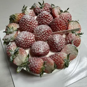 프레베리 케이크 사진