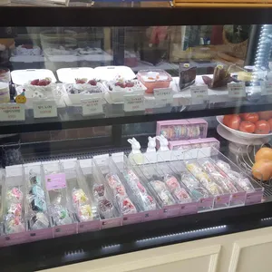 쁘띠렌 사진
