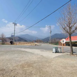 영광정 메밀국수 리뷰 사진