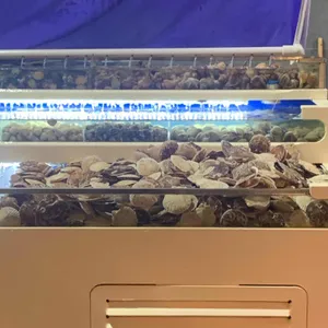 세종조개창고 리뷰 사진