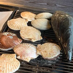 세종조개창고 리뷰 사진